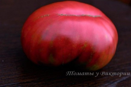 ����� ������: ��������� ���������� ������������ � ���� � ��������� ������