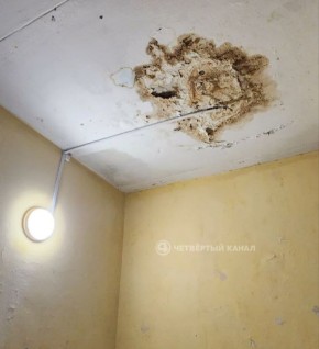 ���� ����� ��� �����������: ������� � ������� ������������� ��������� ��������������� �� 1 ����