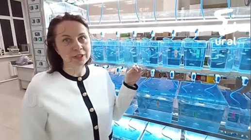 Тревожники, новость для вас