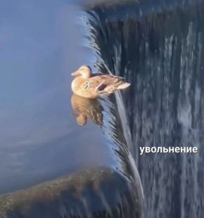 За громкий смех на работе могут