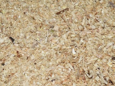 ��� ������ ����� ������������ � �������� ��� ������ ������