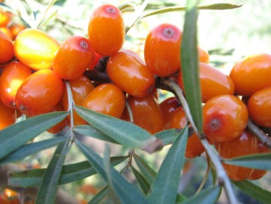 ��������: ������� ��������� ����������� � ����� �� ����������