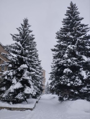 ������ ��������� #�����������