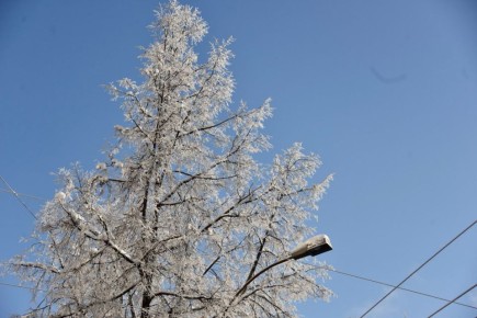 ����� � ����� 1 ������� ������� �� ������ ������������ ������� ��������� ������� ����� �� 42 ��������