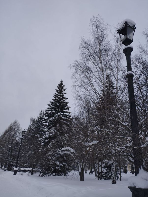 ���� ����������� �����������