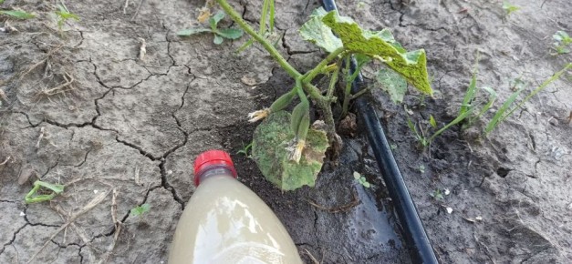 ��������� ������ ������� �� 11,5 �� � ����� �� ��� ��� � ������� ������� � ���������!