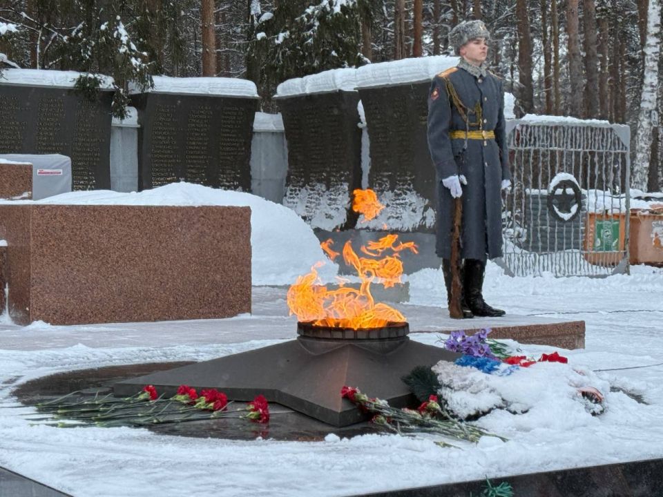 ������������ ������� ������ ���������� �������������� ����� �� ��������������� ���������