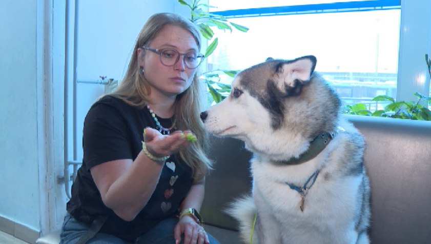 В Екатеринбурге прошла благотворительная зоошкола "Обнимаю лапами"