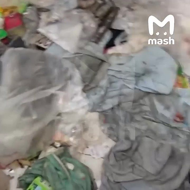 Студентку из Екатеринбурга освободили из мьянмского скам-центра