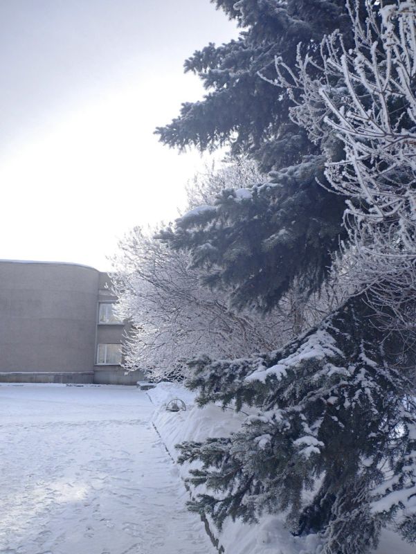 ������ ����, #�����������