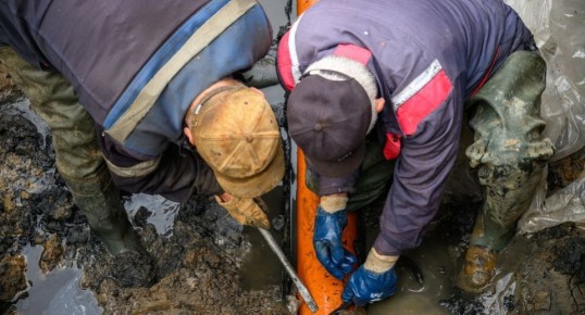 ������������ ��������: ��� ������ ���������� � ������ �����