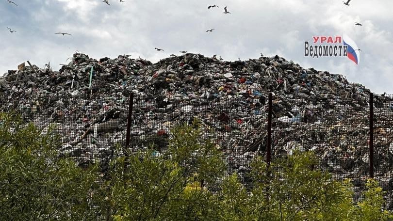 В Камышлове суд обязал власти отремонтировать дорогу к мусорному полигону