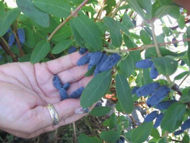 ��������� ��������� ����� ����� ����: ������� ��������� �����