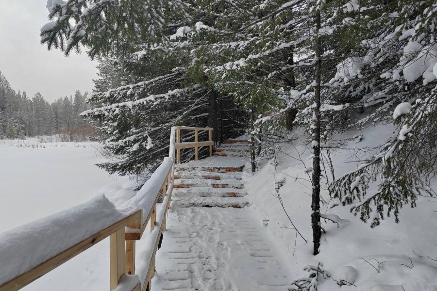 В Свердловской области в рамках федерального проекта «Земля для туризма» выявлены 63 земельных участка и территории общей площадью 373,2 гектара