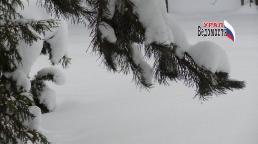 ������ ����, ����!. ��������� ������ ��������������� �������: ����������� �������� ����� ����� ����������