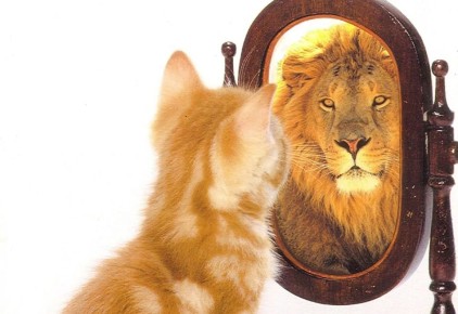 �������, 4 �������, ���� �������� ���������������