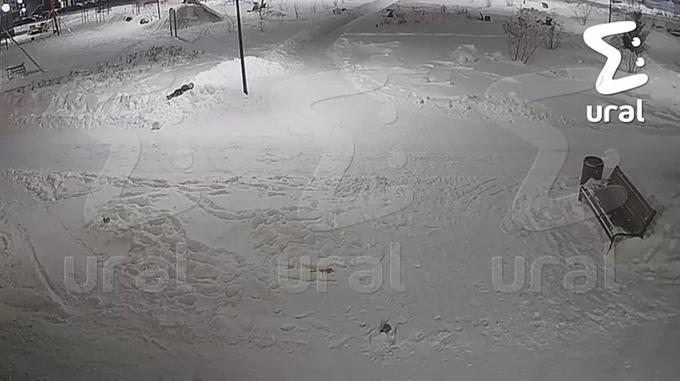 ���� �������� ������� � ������� � �������������