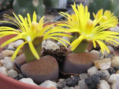 �������: ��� ��������� �� ����� ������ ������� � �������� ������