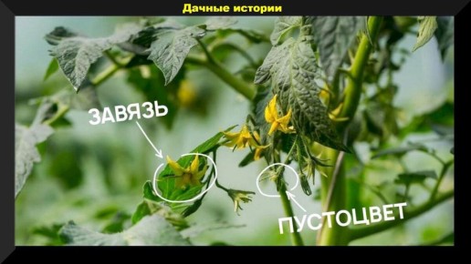 ������ � ����� �������: ��� �������� � ��������� ������ ���� � ������ ������