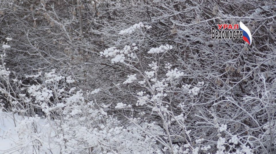 ������ �������� ����, ����!