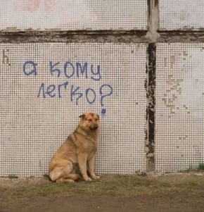 � �������� ������ �������� ��������