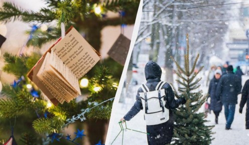 ����� ������� ����: ������� � ������ ��� ������ �������