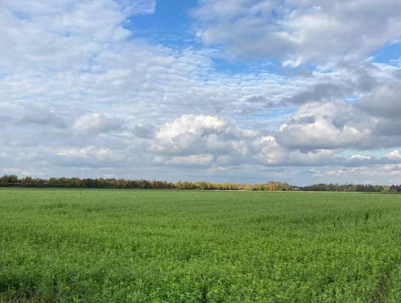 � ���������� ������ ����������� � �������� ������� ������� �����������, ������������ ����������� ������� �������� ����������� ��������, ������� �� ������ ��������� ������� ��������������������� ���������� ����� ��������...