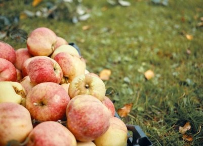 ������, �������� ������� ������� ������: ��� ����� ���������