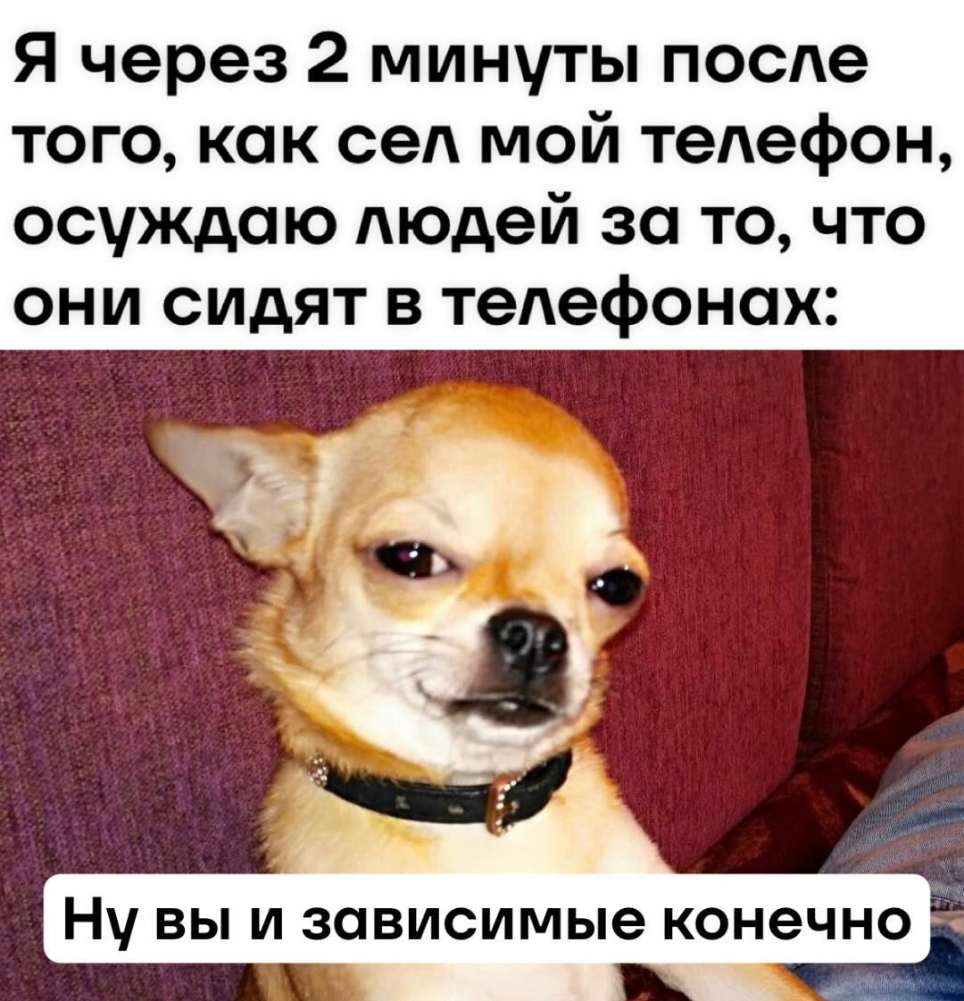 Сегодня день отказа от мобильных телефонов