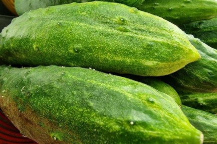 ��� ������ ������������ ������ � �����: ������� ������ � ������� � �����