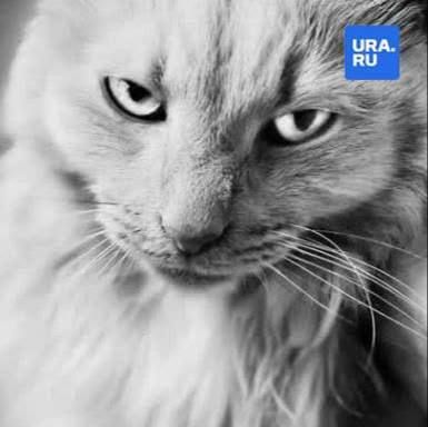 ��� ��� ����� ������ �����? ��� ����� ������ ��� ����� ����� �� 24 ����