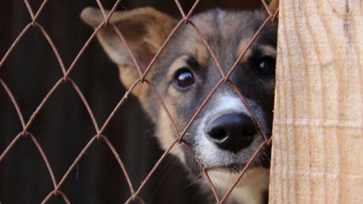 ����� � ���� �������������� �������� � ��������� � ����� ��� ������ � ������ ������