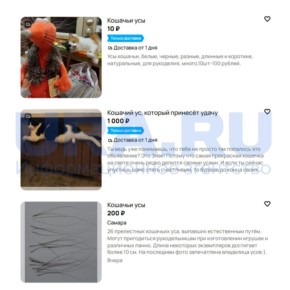 ��������� �����-������: �� ����� ���� ������� ��� ����� ������������ ����������