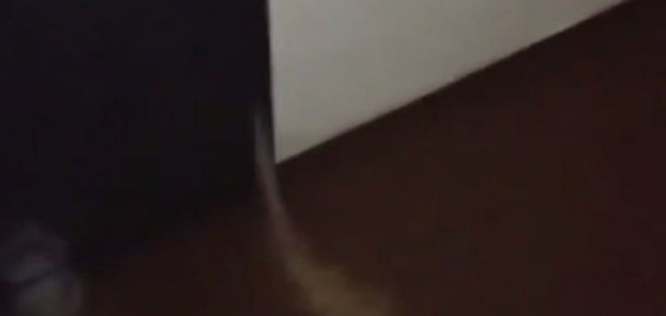 ����� � ���� �� ��������� ������ � �������������: �� �� ��������� �����