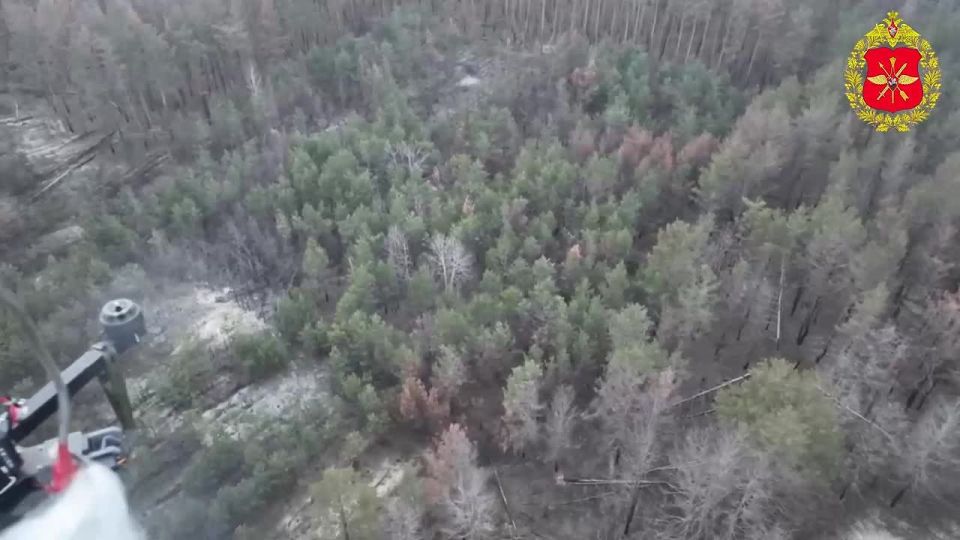 ������ ���������� �� 9 �������: ����������� � ����� ������