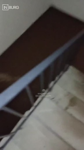 � ������������� ������ ���� �������� ����� ������� �����������