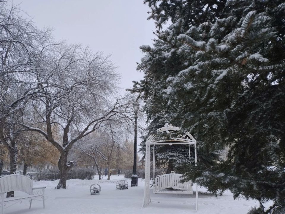 ������ ����, #�����������