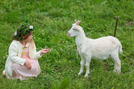 ������������ �������, ������� ������ ����������� �������� ������ ������ �������, ����� ������� ������ ��������� �������