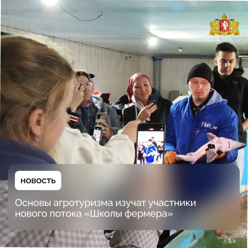 �������� ������ ������� �����������