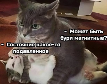 ��������� ���� � ������������� ��������� �� ����� �������