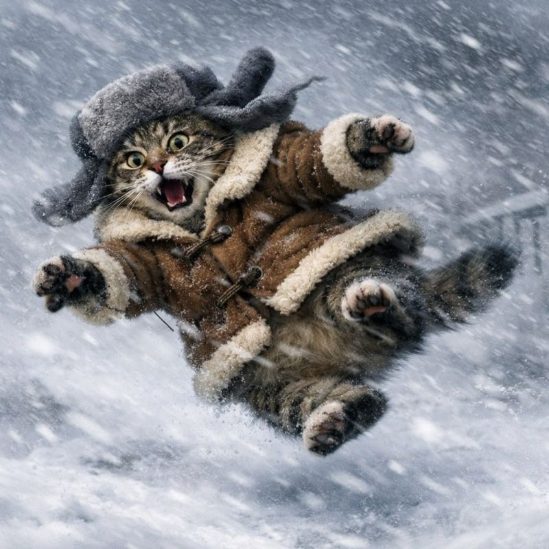 ������, 13 �������, ��������� ������������ ��������������� ������������ � �������� ����� �� 17 �/�