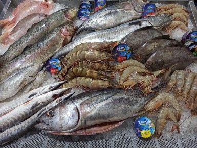 �������������� �������� ������ �� ���� ��� � 2026 ����