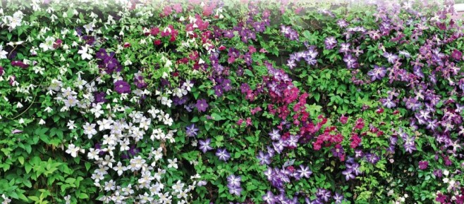 10 �������� �������� ��������� ��������� � �����������