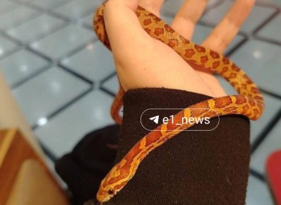 � ����� �� ������� 15-�� ������� ���������� ����