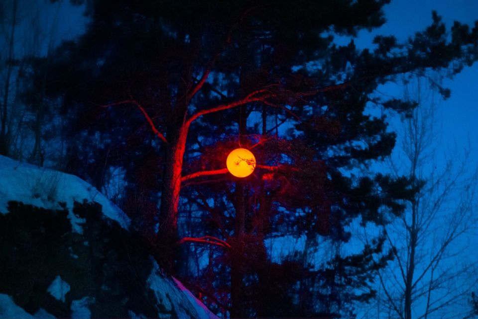 ��������� ��������� ��������� ��� ����� ������ �� ���� ��������� ������� ����� 14 � 15 �������