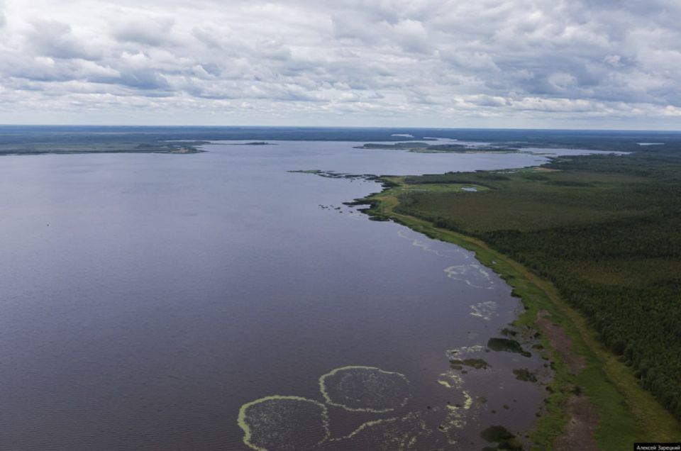 ������ � ������� ����� ��������� ������ �����������