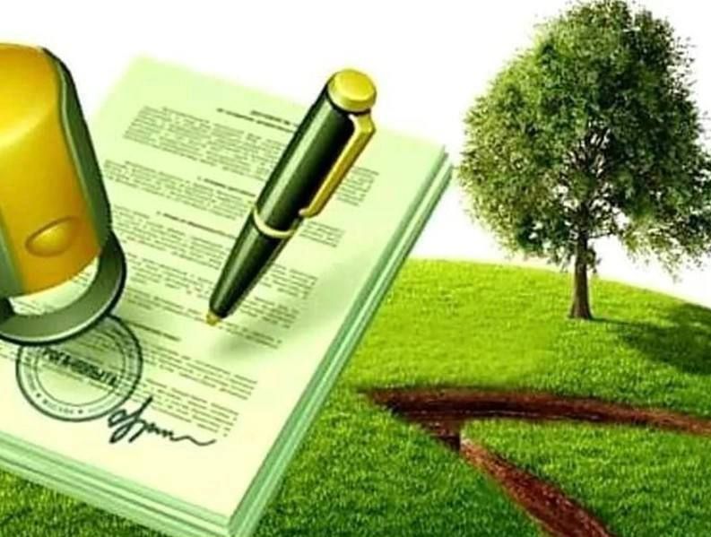 � ���������� ������ �� ���� ����������� ��� ������ ������� ��������� ������� ����� �������� ����� 43 �� � ������������� �����������