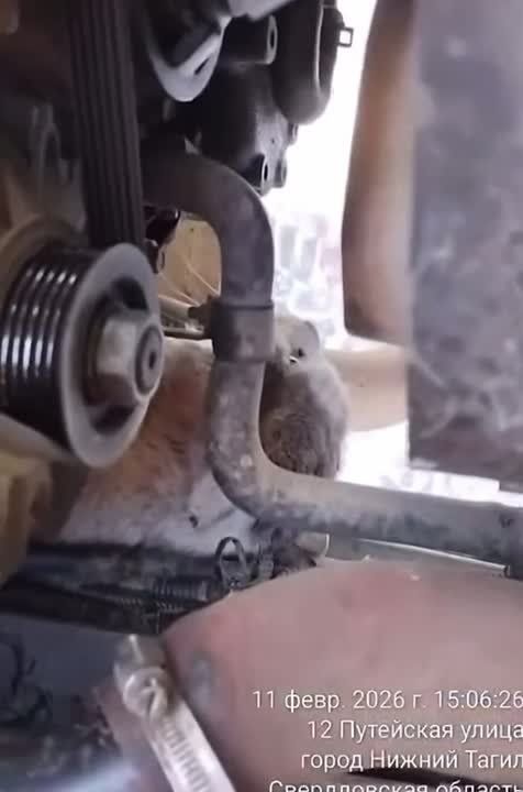 ����� ���� �� ������� ����� ������� � ������ ������