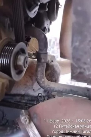 ����� ���� �� ������� ����� ������� � ������ ������