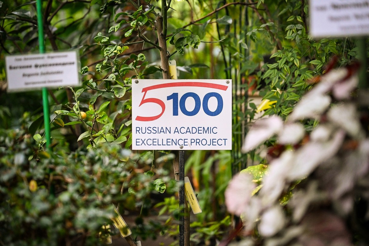 Уникальное дерево «5-100»: как на одном дереве растут сразу пять плодов?